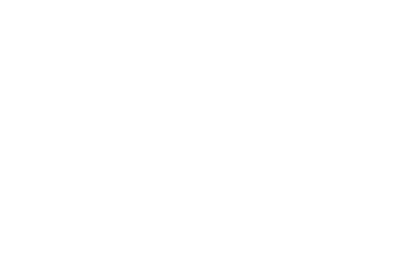 sante FX