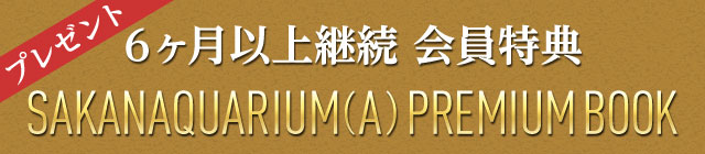 SAKANAQUARIUM(A)6ヶ月以上継続 会員特典
